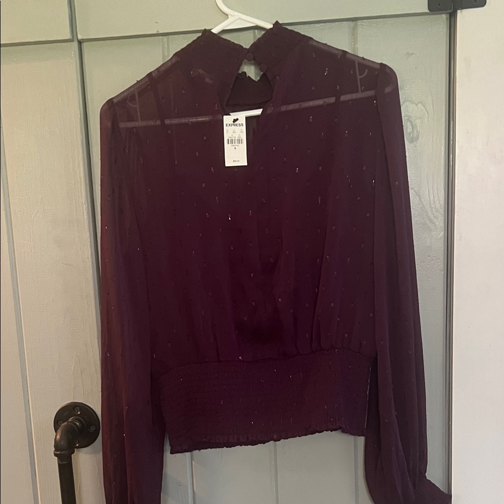 Express Plum Sheer Smocked Waist & Neck Long Sleeve Blouse - Picture 3 of 5